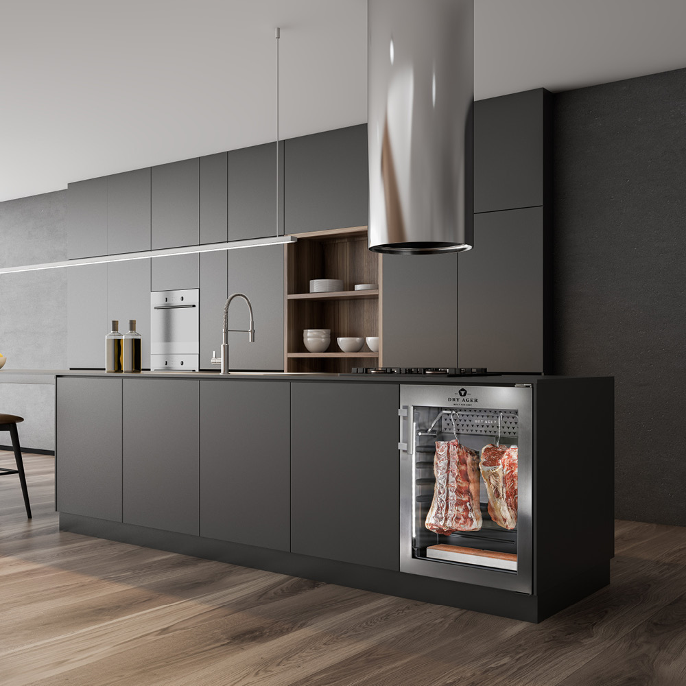 Fleischreifeschrank DX 500 Premium S