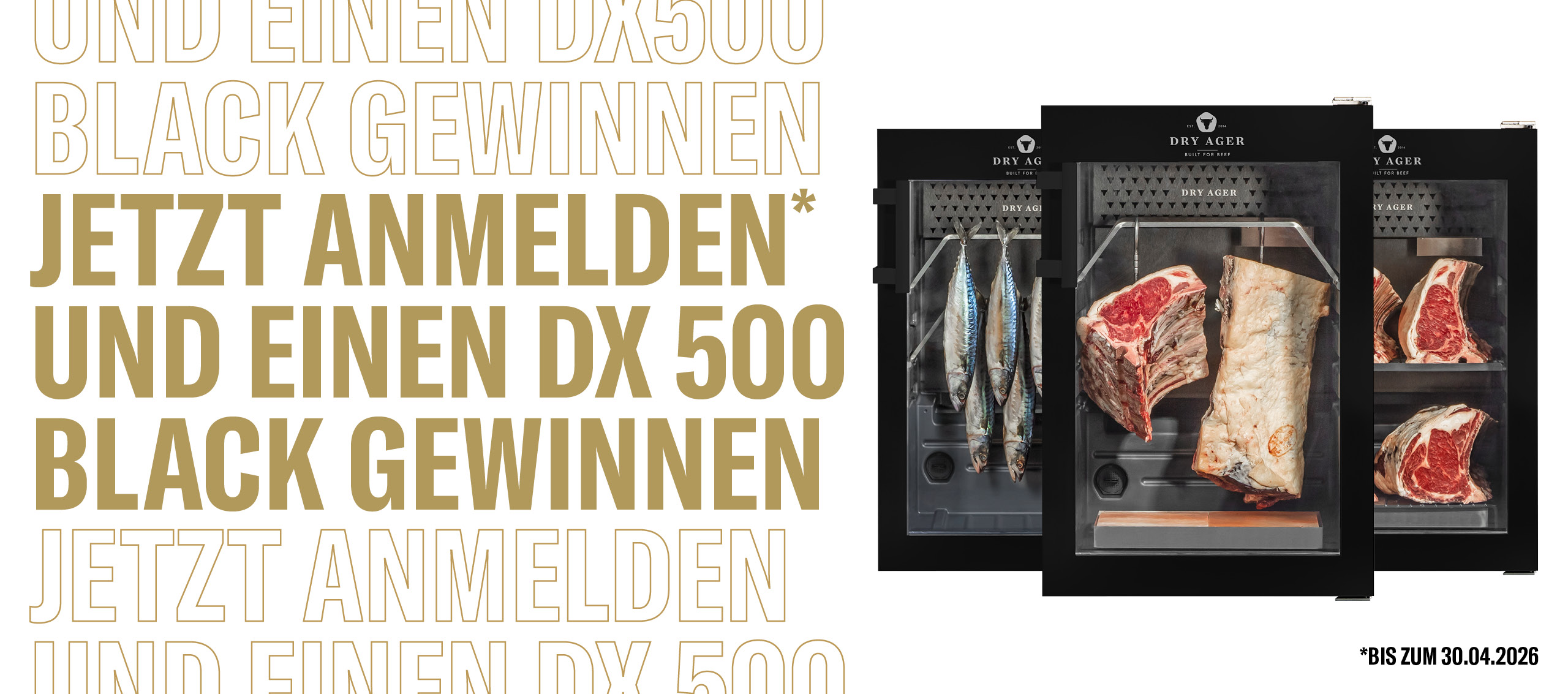 2026_DryAger_Aktion_NL-Anmeldung_Header_web