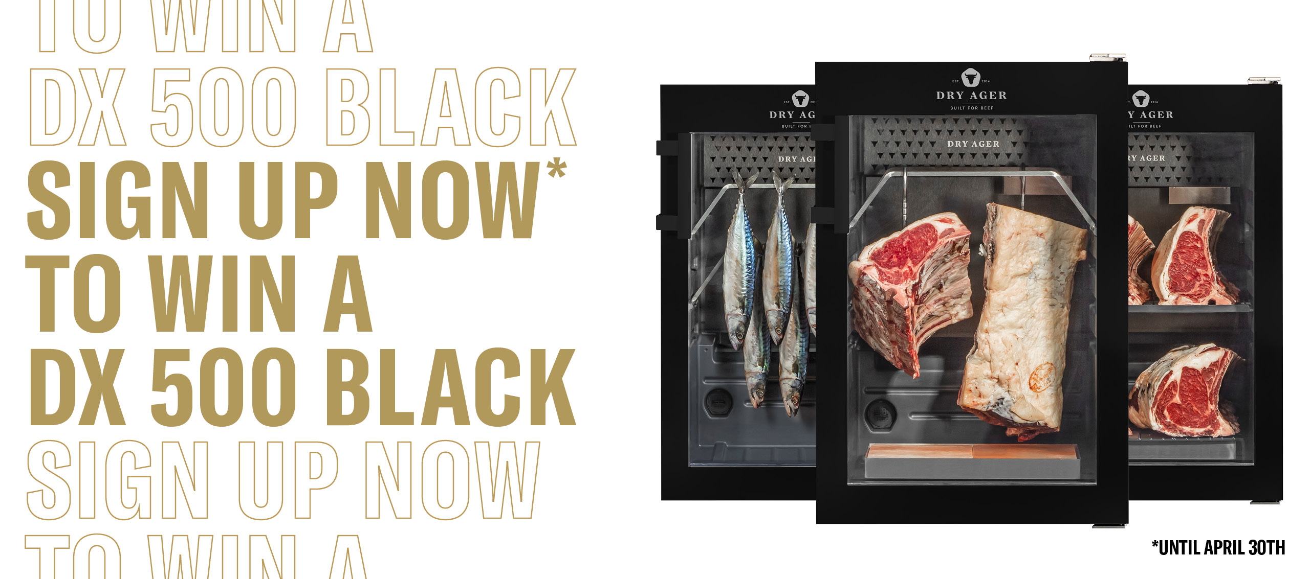 2026_DryAger_Aktion_NL-Anmeldung_Header_web2 2026_DryAger_Aktion_NL-Anmeldung_Header_web2