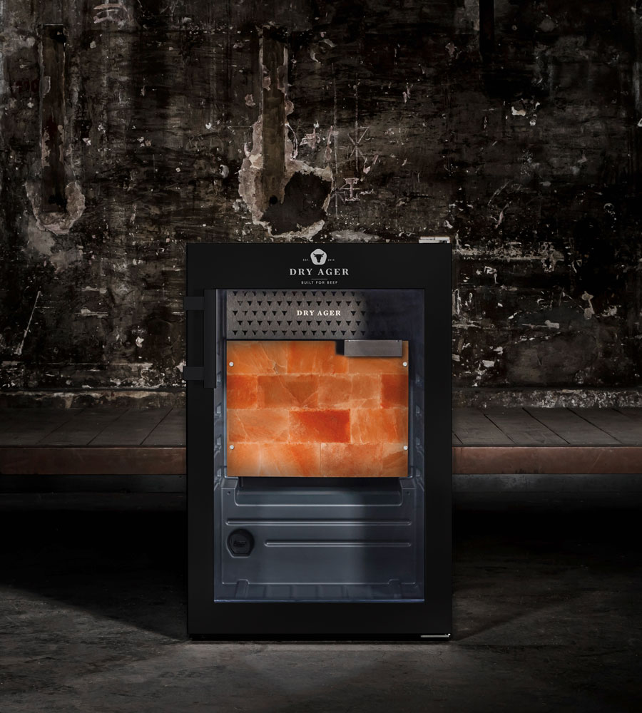 DRY AGER DX 500 Premium S with Salt Wall System 55498
