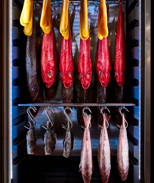 Different types of fish in the DRY AGER Cabinet