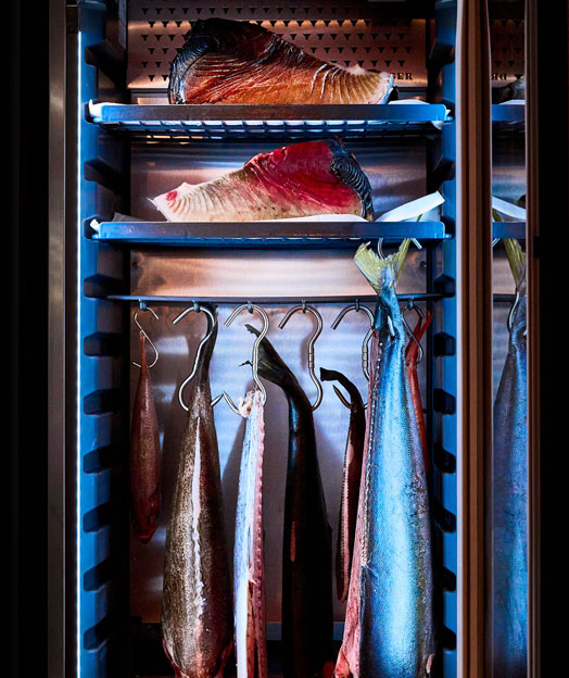 Wide range of options for fish aging