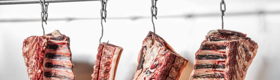 Maturing your meat yourself Maturing your meat yourself