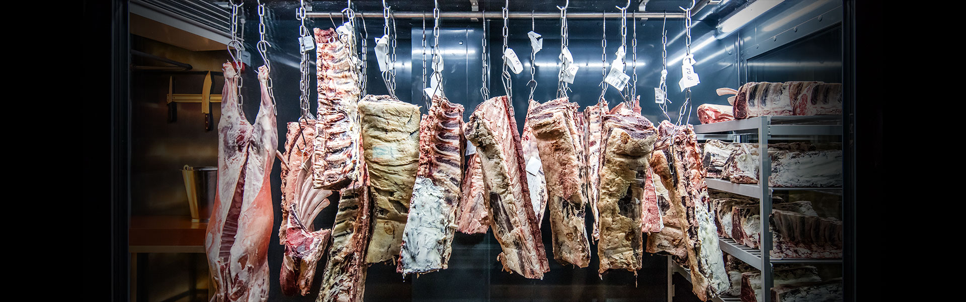 The Dry Aging fridge for dry aging of meat I DRYAGER™ Canada