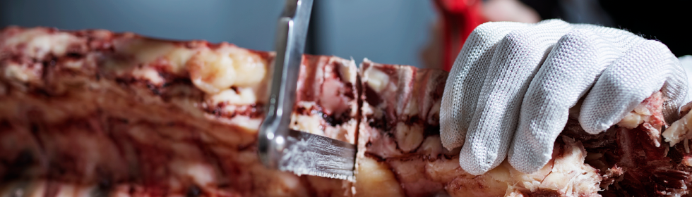 Fleisch aus dem Dry Ager Reifeschrank portionieren Fleisch aus dem Dry Ager Reifeschrank portionieren
