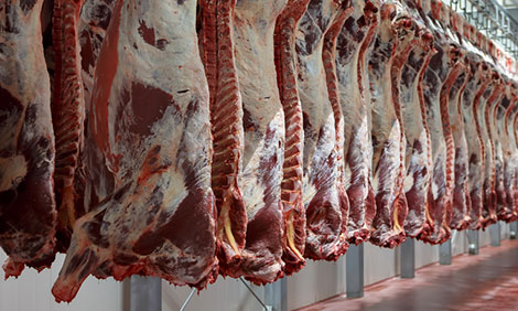 Fleisch muss abhängen für den guten Geschmack