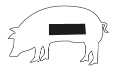 Rib Rib