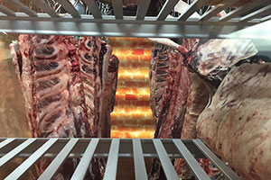 Dry-Aged Steaks mit Schimmel