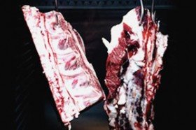 Dry Ager Testimonial Jan-linne-kocht
